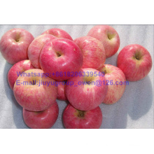 China Top Quality New Crop FUJI Apple Carton Packing